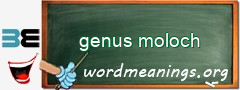 WordMeaning blackboard for genus moloch